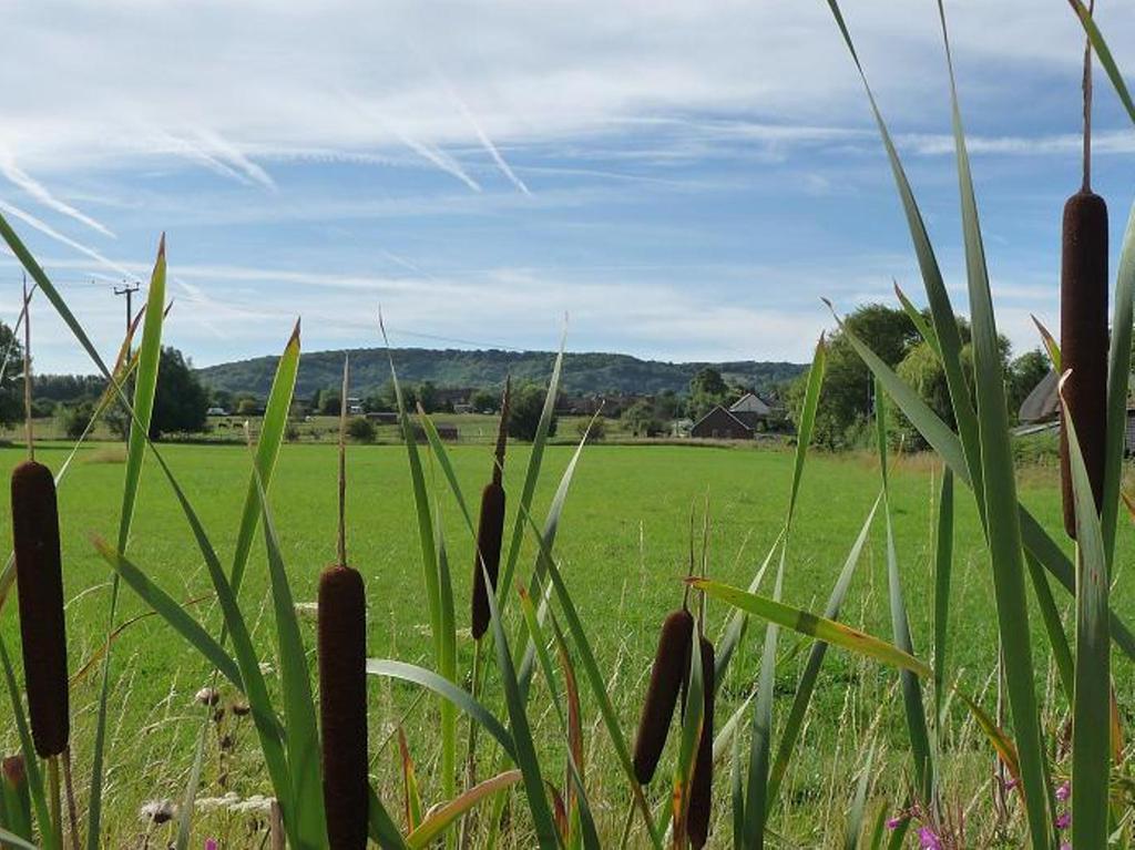 The Peacock Country Inn Chinnor ภายนอก รูปภาพ